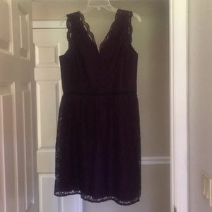 Loft eggplant lace dress. Size 10.